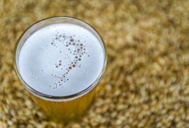 Ølbrygning, brygning af øl, IPA øl, classic